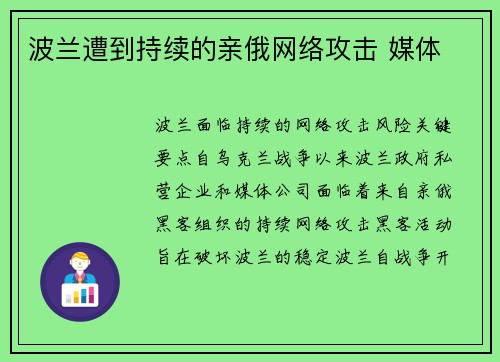 波兰遭到持续的亲俄网络攻击 媒体
