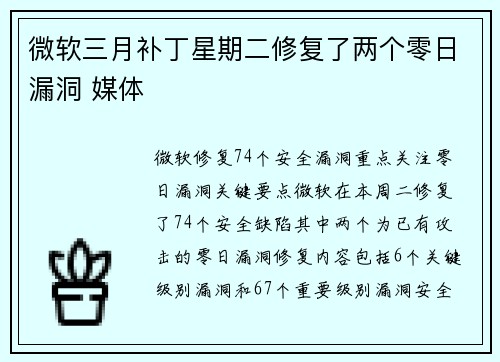 微软三月补丁星期二修复了两个零日漏洞 媒体