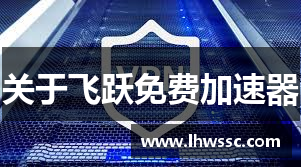 关于飞跃免费加速器