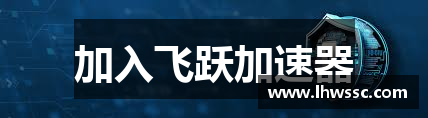 加入飞跃加速器